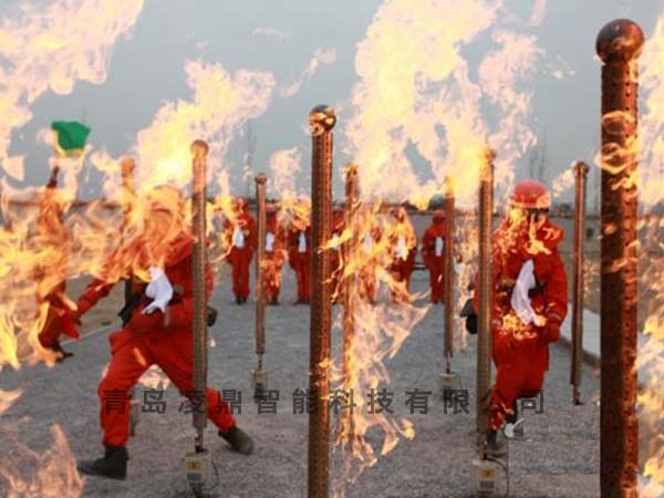 林火模擬